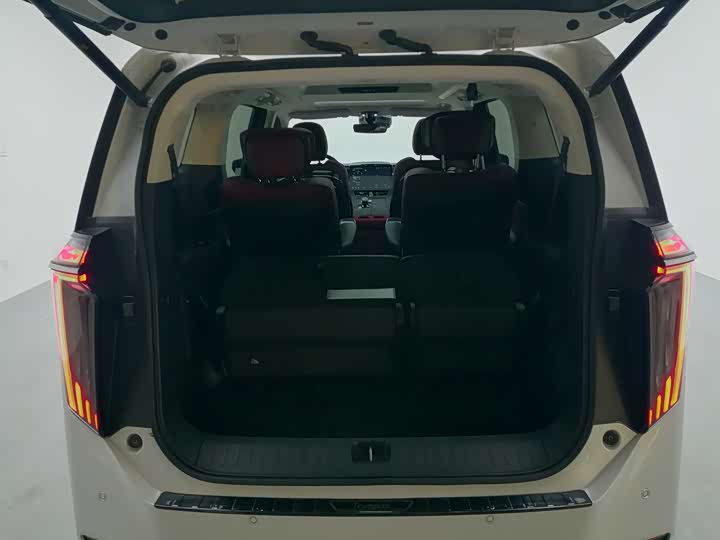 Фото 20 - GAC Trumpchi E9