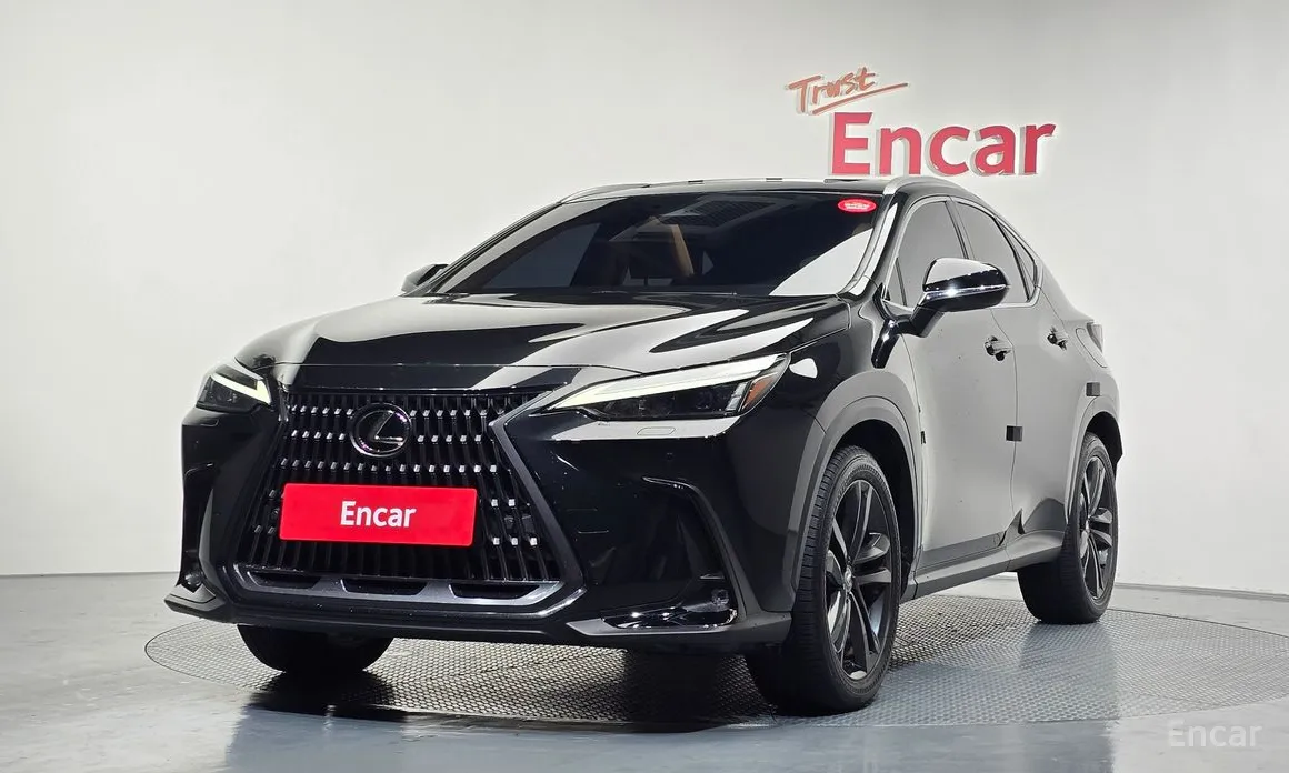 Фото 1 - Lexus NX