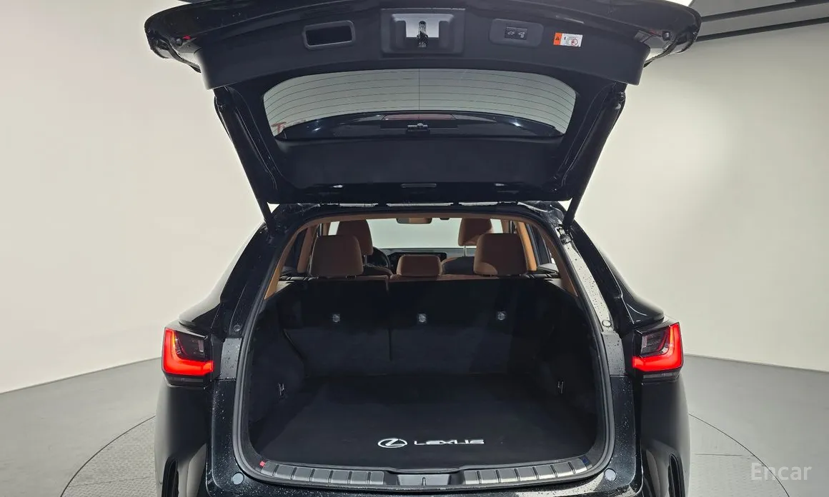 Фото 20 - Lexus NX