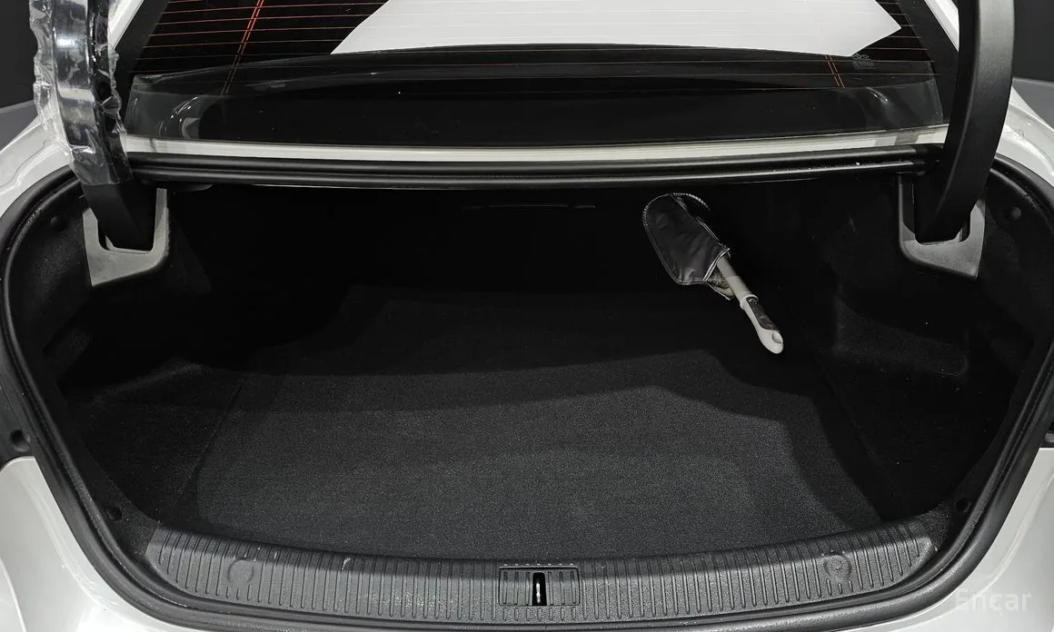 Фото 20 - Renault SM6