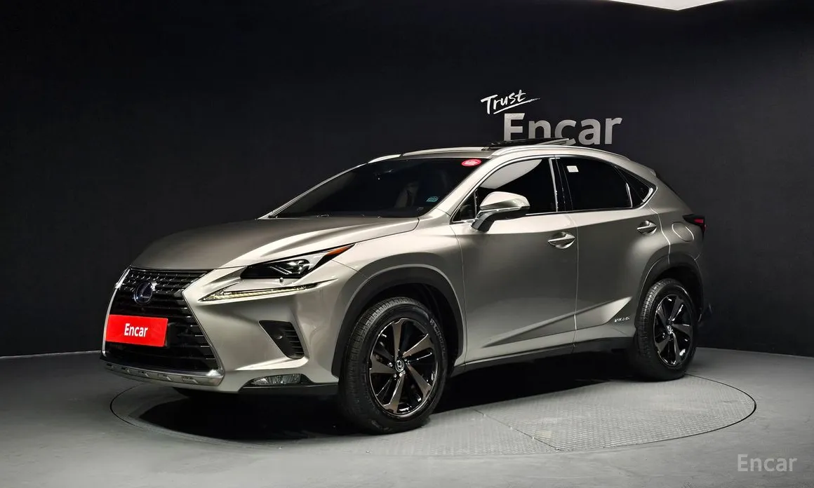 Фото 1 - Lexus NX