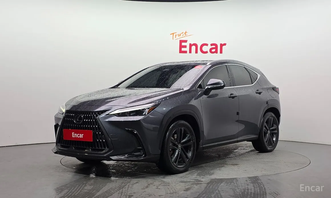 Фото 1 - Lexus NX