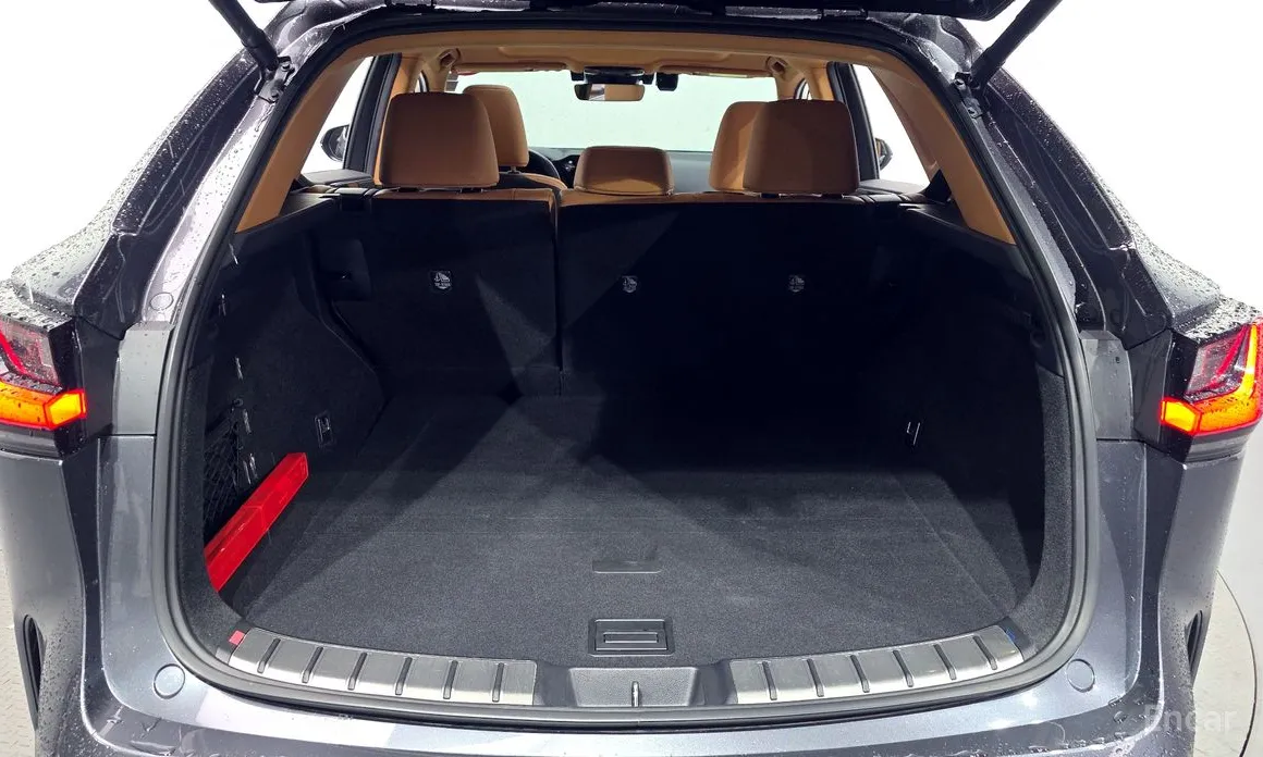 Фото 19 - Lexus NX