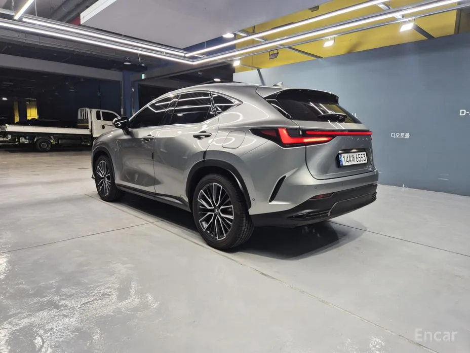 Фото 7 - Lexus NX