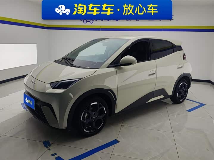 Фото 1 - BYD Seagull