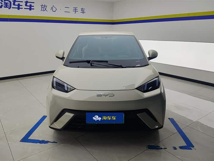 Фото 2 - BYD Seagull