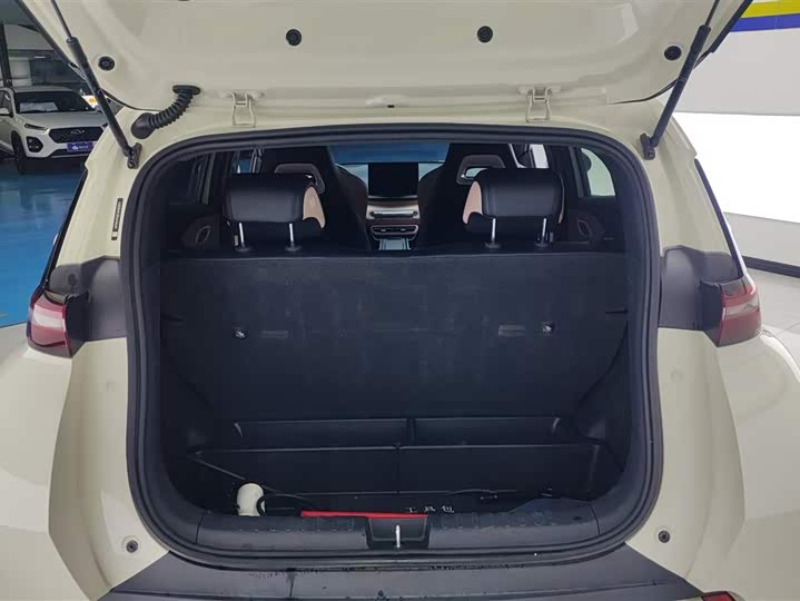 Фото 4 - BYD Seagull