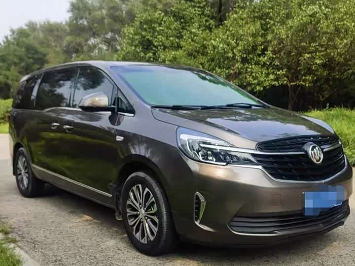 Фото 2 - Buick GL8 ES