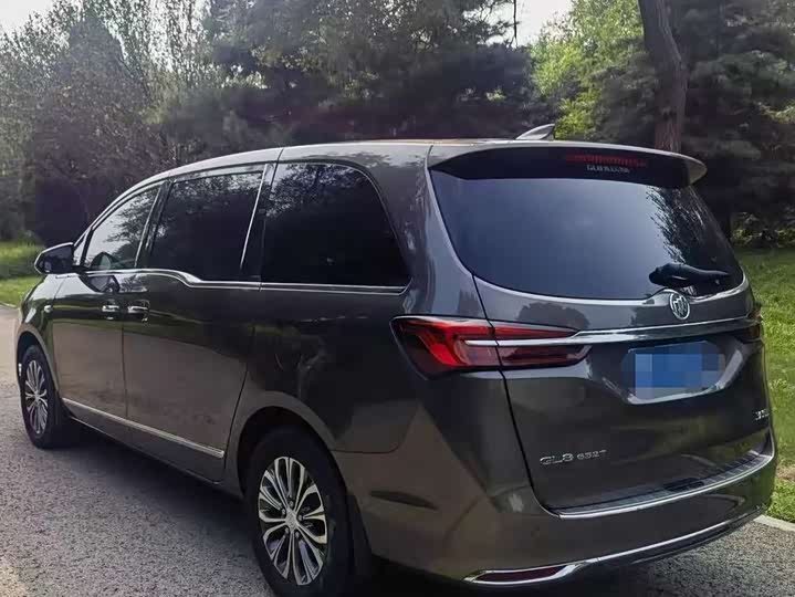 Фото 4 - Buick GL8 ES