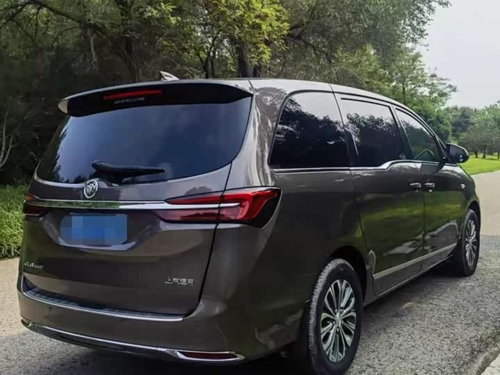 Фото 5 - Buick GL8 ES