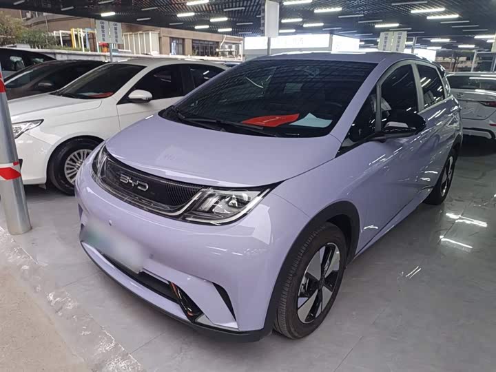 Фото 2 - BYD Dolphin