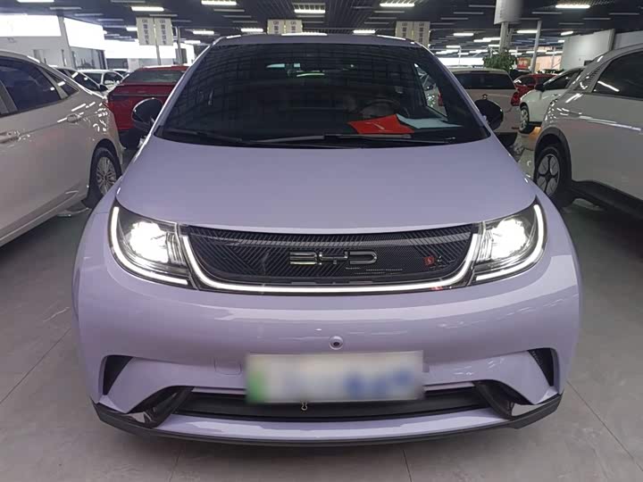 Фото 3 - BYD Dolphin