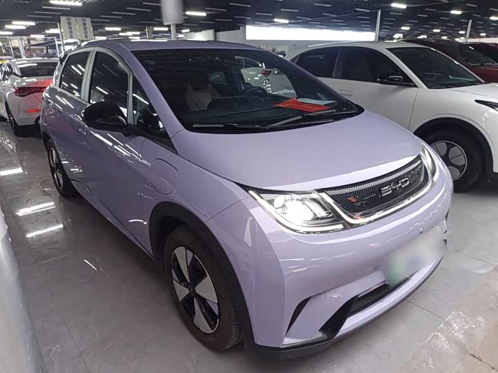 Фото 4 - BYD Dolphin