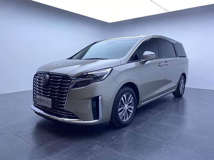 Фото 1 - Buick GL8 ES