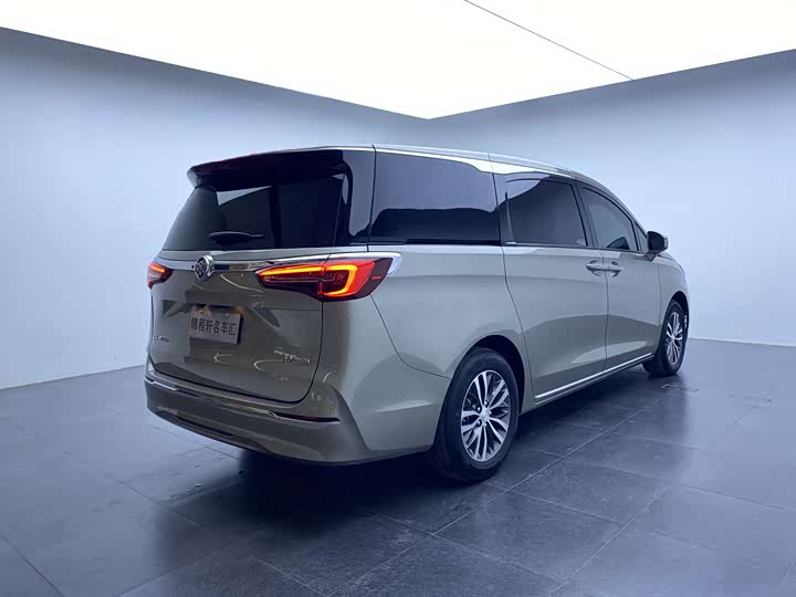 Фото 4 - Buick GL8 ES