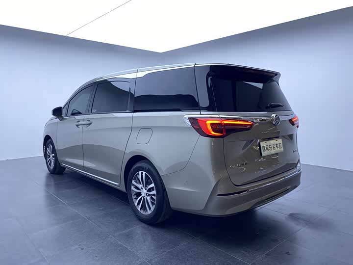 Фото 5 - Buick GL8 ES