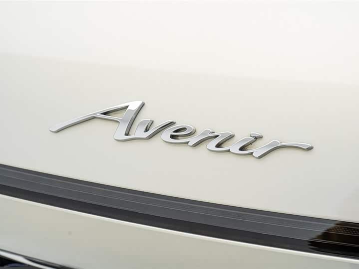 Фото 9 - Buick GL8 Hybrid