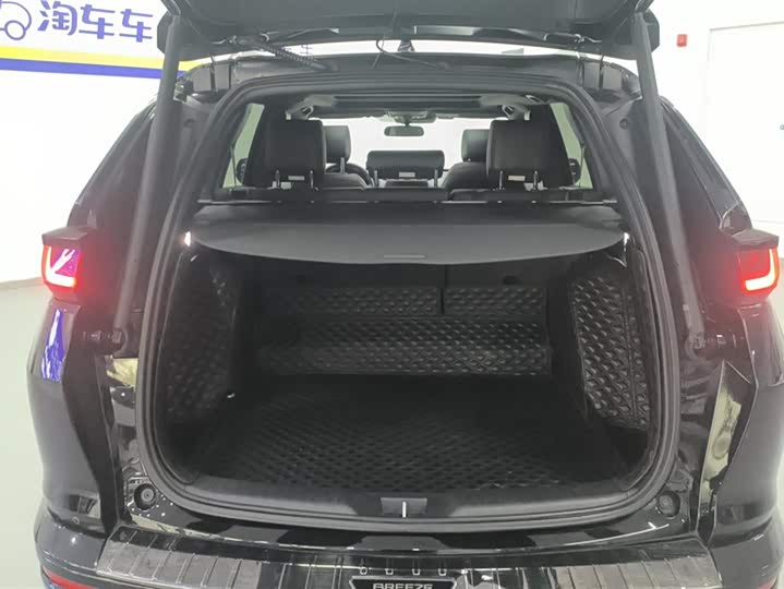 Фото 4 - Honda Breeze