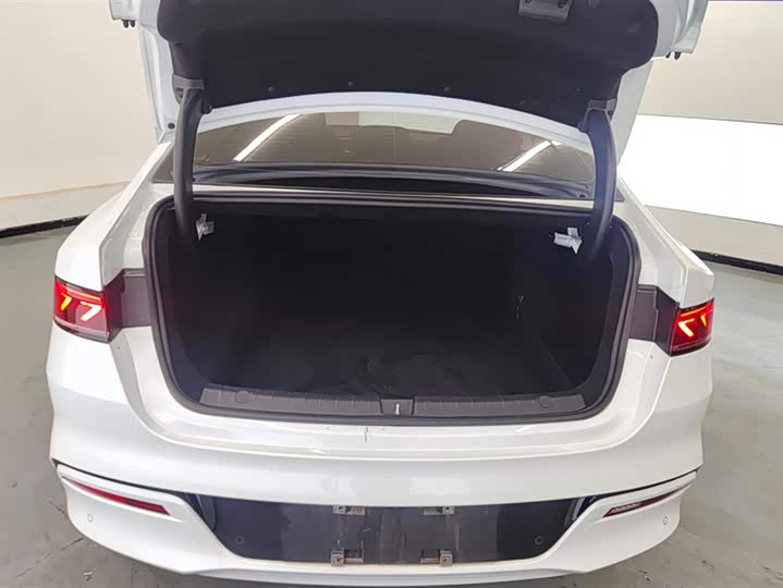 Фото 4 - BYD Qin Plus