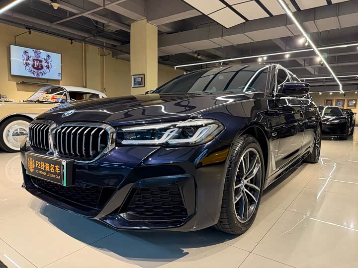 Фото 2 - BMW 5 Series Hybrid