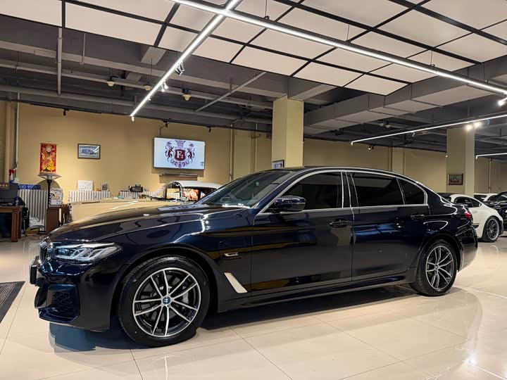 Фото 3 - BMW 5 Series Hybrid