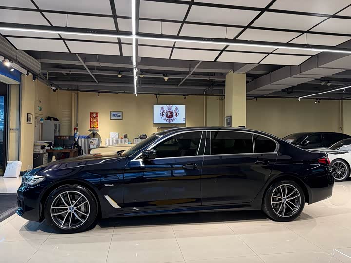 Фото 4 - BMW 5 Series Hybrid