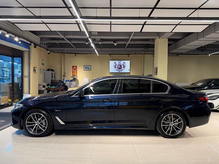 Фото 5 - BMW 5 Series Hybrid