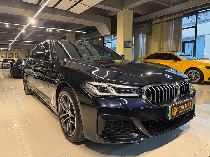 Фото 6 - BMW 5 Series Hybrid