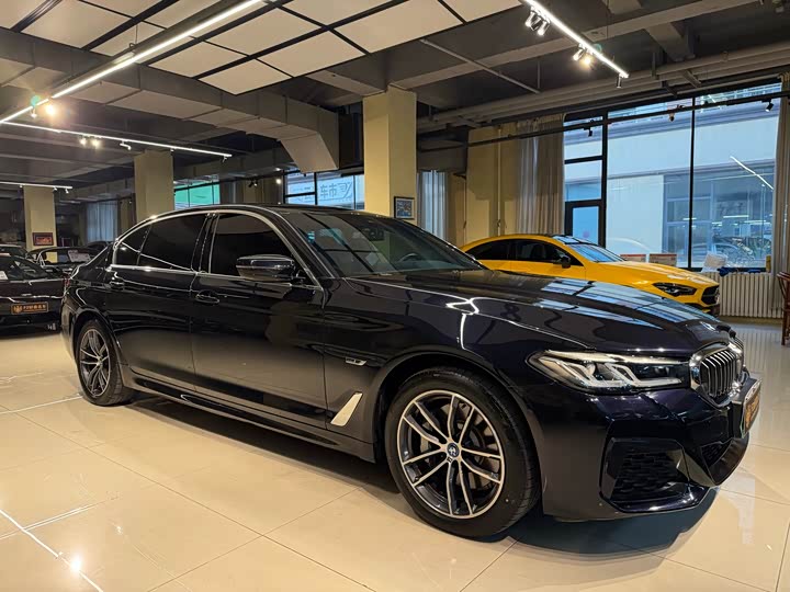 Фото 7 - BMW 5 Series Hybrid