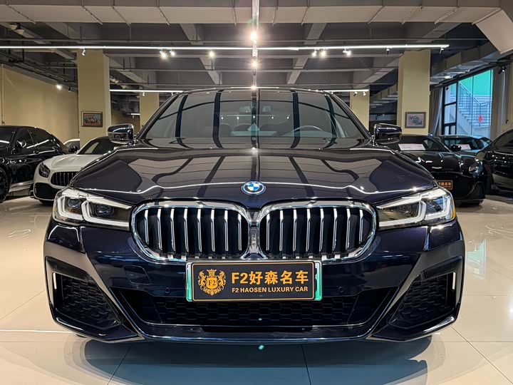 Фото 9 - BMW 5 Series Hybrid