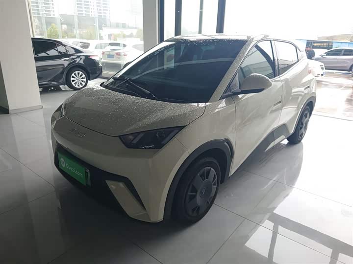 Фото 2 - BYD Seagull