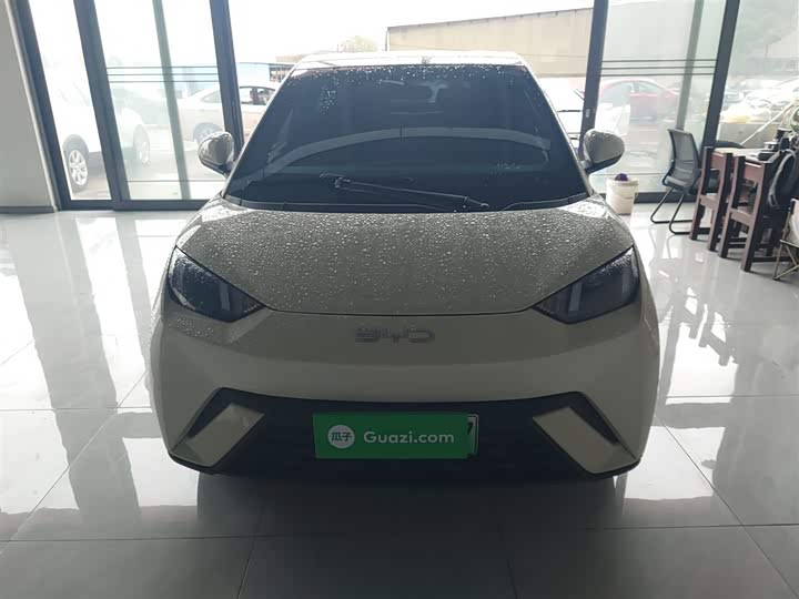 Фото 3 - BYD Seagull