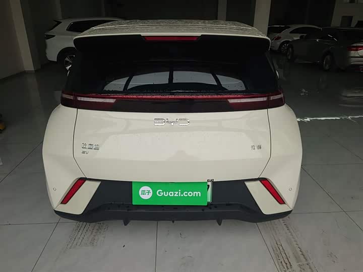 Фото 6 - BYD Seagull