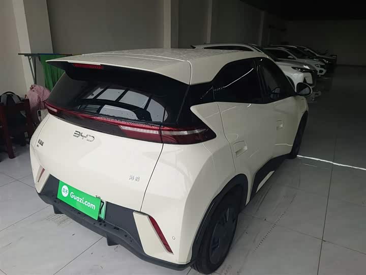 Фото 7 - BYD Seagull