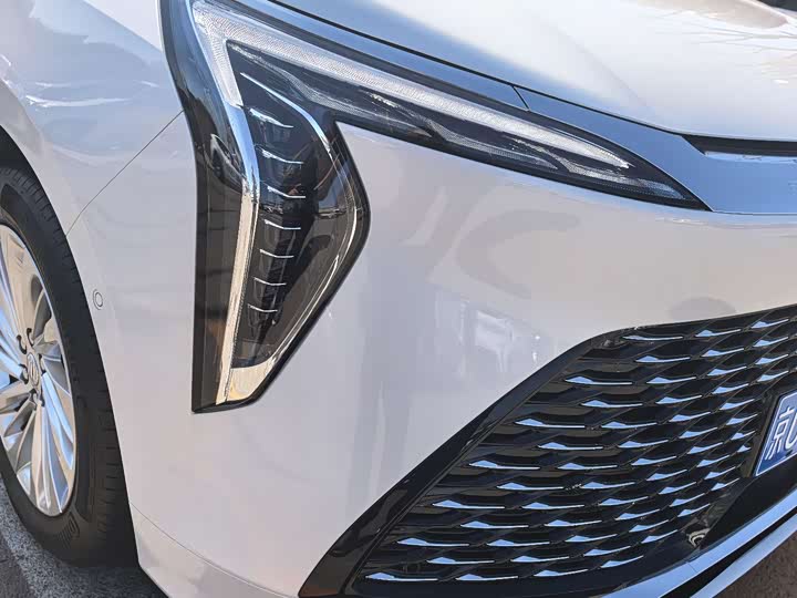 Фото 3 - Buick GL8 Century