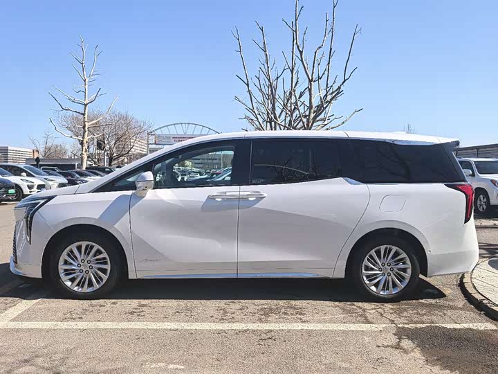 Фото 5 - Buick GL8 Century