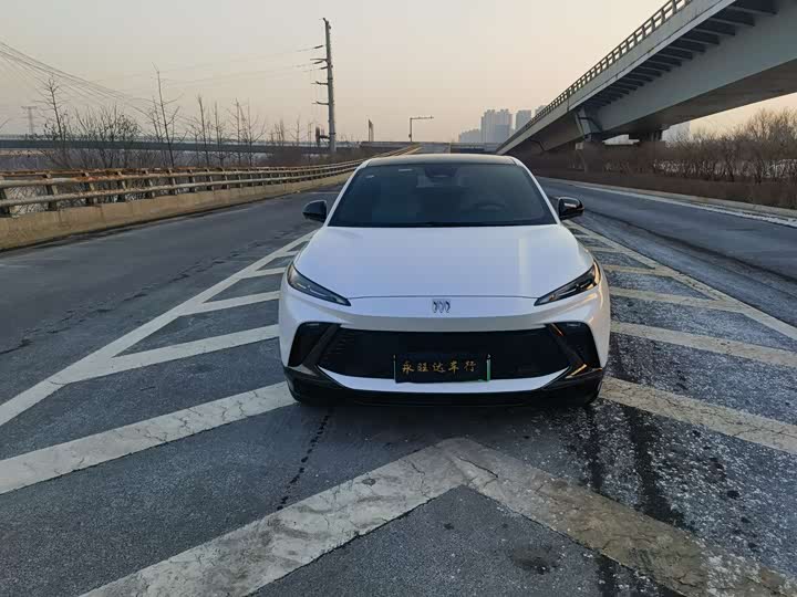 Фото 2 - Buick Electra E4