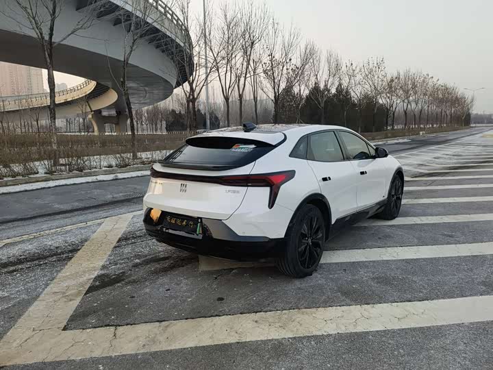 Фото 6 - Buick Electra E4