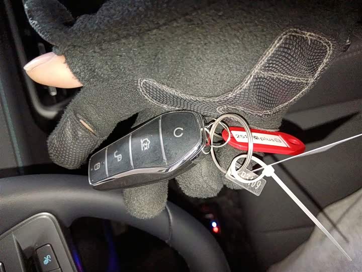 Фото 9 - BYD Qin Plus