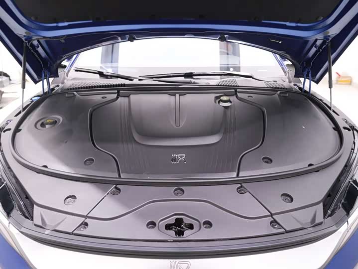 Фото 8 - BYD Han