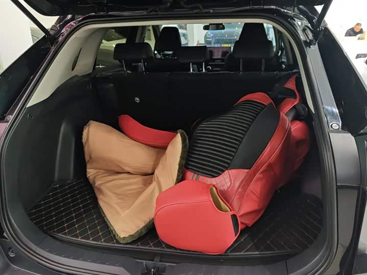 Фото 4 - Toyota Wildlander