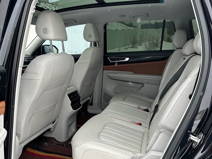 Фото 5 - Volkswagen Teramont Pro