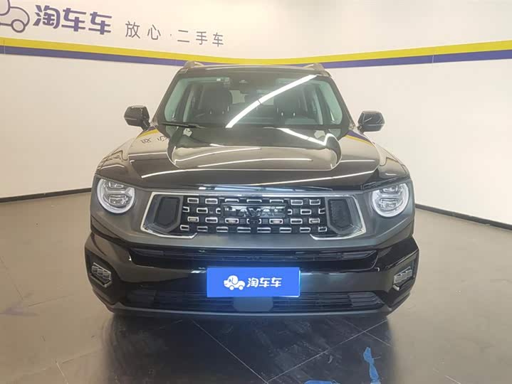 Фото 2 - Haval H-Dog