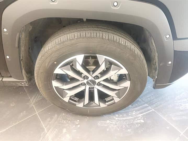 Фото 6 - Haval H-Dog