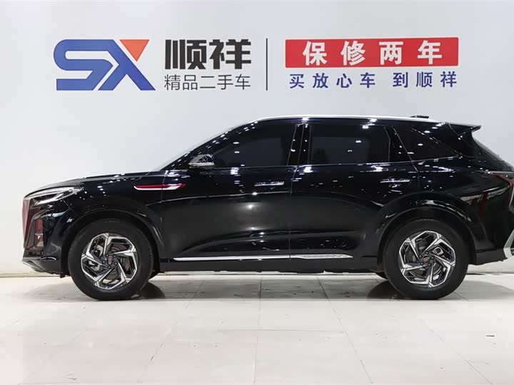 Фото 6 - Hongqi HS3