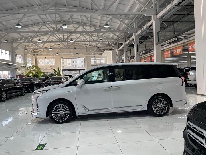 Фото 3 - Buick GL8 Hybrid