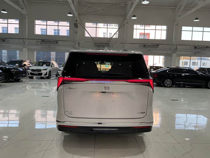 Фото 5 - Buick GL8 Hybrid