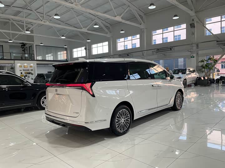 Фото 6 - Buick GL8 Hybrid