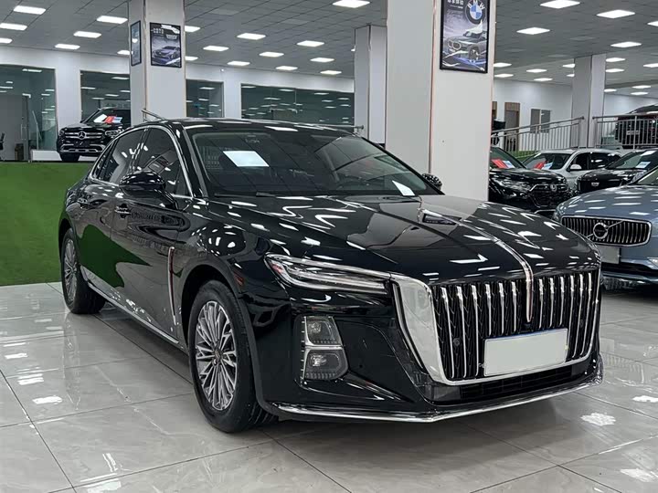 Фото 3 - Hongqi H5