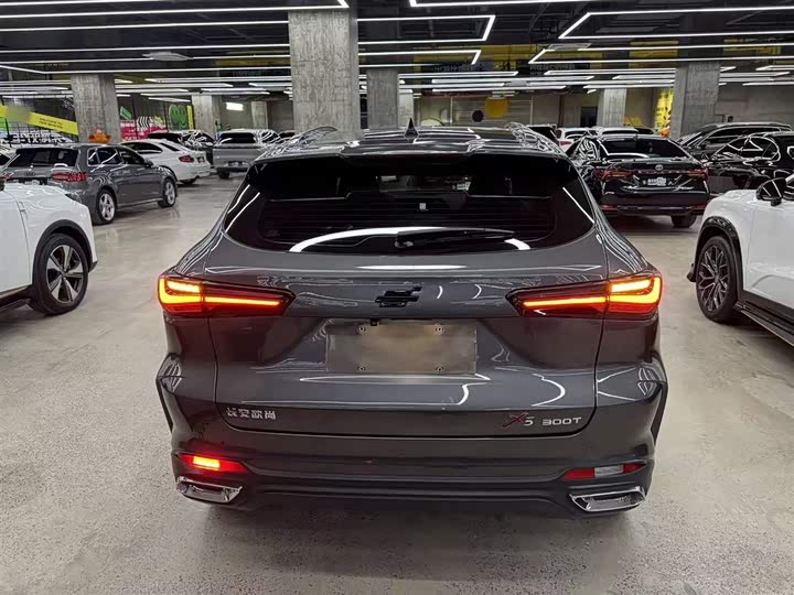 Фото 6 - Changan Oshan X5